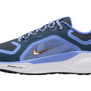 Buty Nike Pegasus 41 GORE-TEX FQ1357-400