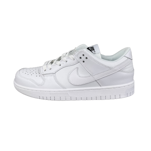 Buty Nike SB Dunk Pro Low DD1503-109